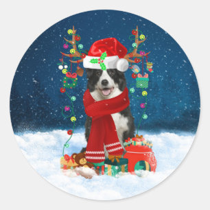 Gräns Collie hund med julklappar Runt Klistermärke