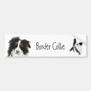 Gräns Collie Hund o Bildekal