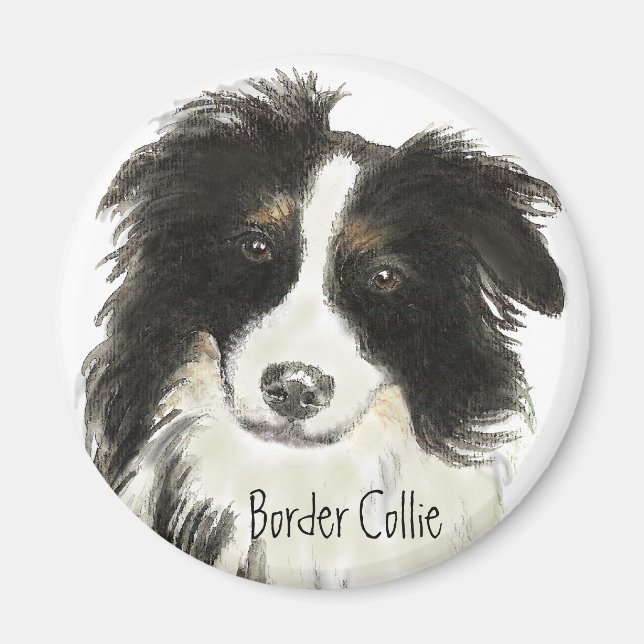 Gräns Collie Hund o Magnet (Framsidan)