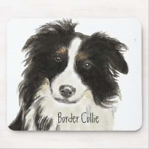 Gräns Collie Hund o Musmatta