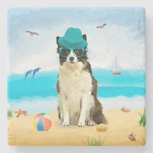 Gräns Collie Hund on Beach Stenunderlägg