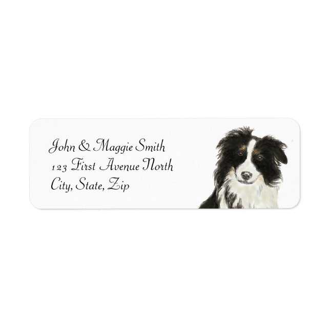 Gräns Collie Hund Pet Animal Custom Name Label Returadress Etikett (Framsidan)