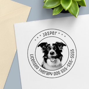 Gräns Collie Hund Pet Photo Round Självfärgande Stämpel