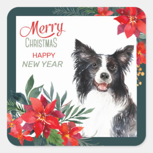 Gräns Collie Hund Poinsettia Bouquet jul Fyrkantigt Klistermärke