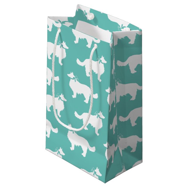 Gräns Collie Hund Puppy (Framsidan Vinklad)