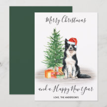 Gräns Collie Hund Santa Träd God jul