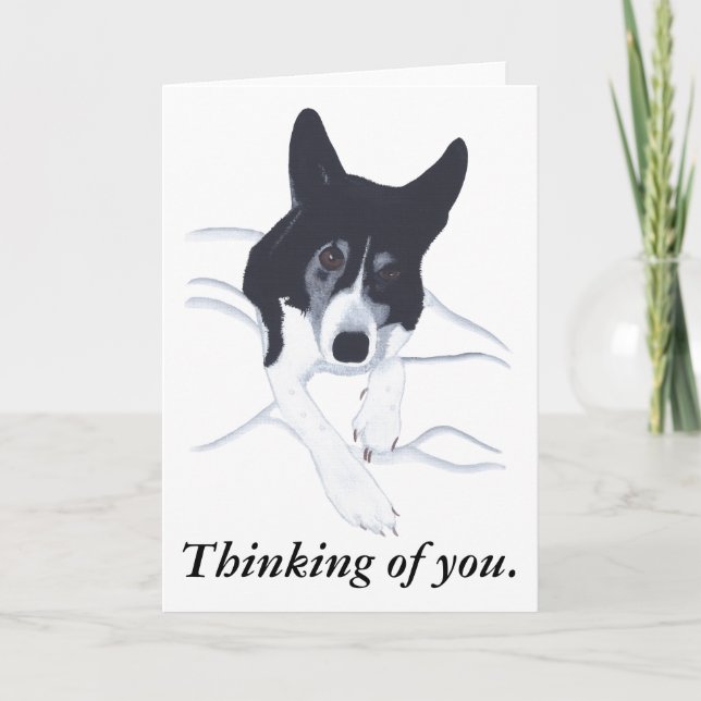 Gräns Collie Hund tänker på dina kort (Framsida)