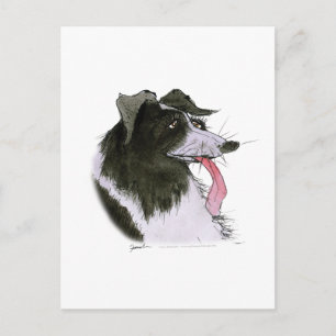 Gräns Collie hund, tony fernandes Vykort