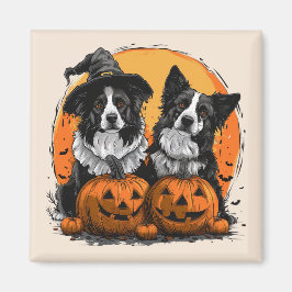 Gräns Collie Hundar Halloween Jack o lantern Magnet