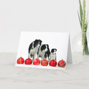 Gräns Collie Hundar med röda julprydnader Helgkort