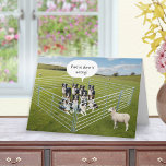 Gräns Collie Hundar och Sheep Funny Birthday Kort<br><div class="desc">Ge är skrattgåvan med det här jävla födelsedagskortet! Ett eländigt får åtnjuter sin nyfunna frihet utanför pennan, medan en grupp fårhundar sitter på insidan. Den här snygga och charmerande designen är perfekt för alla som kärlek boskap, har bra att skratta eller uppskattar en smart vändning på ironi. En roligt och...</div>