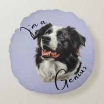 Gräns Collie 'I'm a Genius' .Roligt & Clever Desig