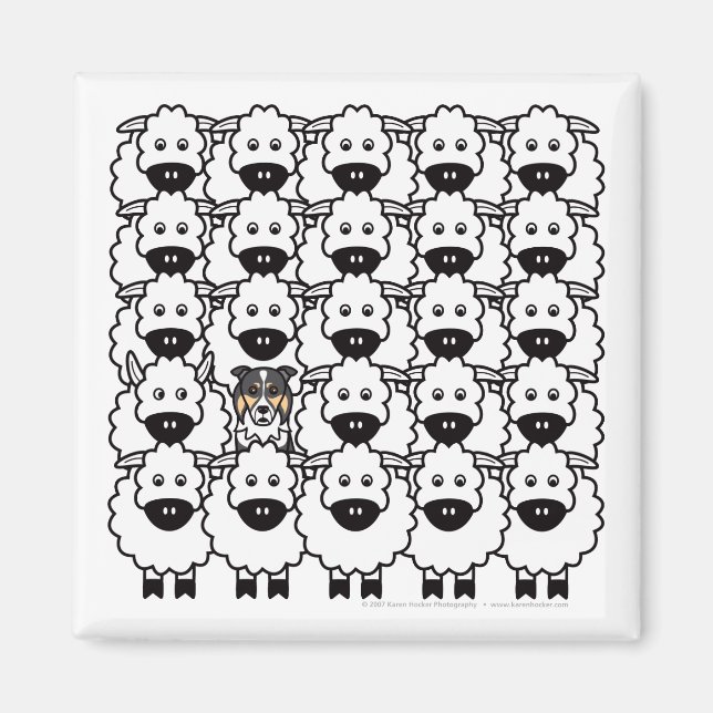 Gräns Collie in Sheep Magnet (Framsidan)