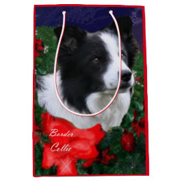 Gräns Collie-jul