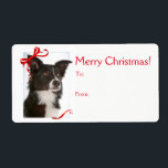 Gräns Collie jul Gift Stickers Fraktsedel<br><div class="desc">De här julklapparna är en perfekt som passar vår Gräns Collie-papper.</div>