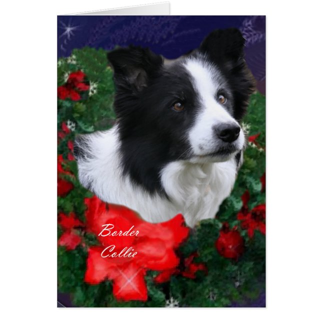 Gräns Collie-jul Hälsningskort (Framsidan)