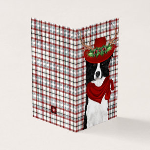 Gräns Collie Jul Hund med Western skal Kort