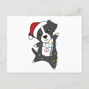 Gräns Collie jul Hund Winter Animals Hundar Vykort