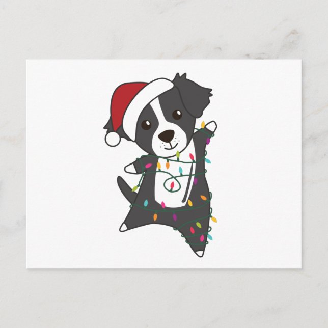 Gräns Collie jul Hund Winter Animals Hundar Vykort (Framsida)