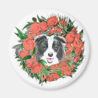 Gräns Collie jul Magnet