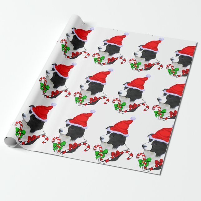 Gräns Collie-jul Presentpapper (Utrullad)