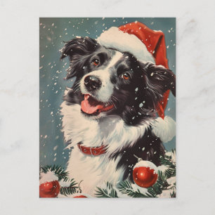 Gräns Collie-jul Vykort