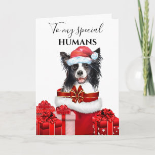 Gräns Collie Julfamiljen önskemål meddelande
