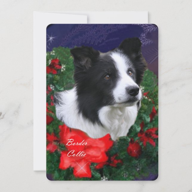 Gräns Collie-julfransen Julkort (Framsida)