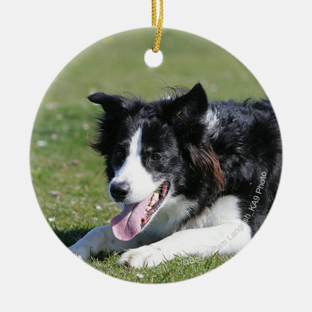 Gräns Collie Julgransprydnad Keramik (Framsidan)