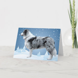 Gräns Collie-julkort Helgkort