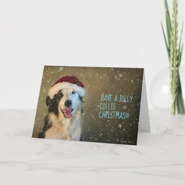 Gräns Collie-julkort. Helgkort (Framsida)