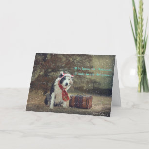 Gräns Collie-julkort Helgkort