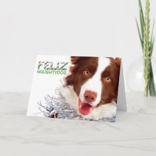 Gräns Collie-julkort Helgkort