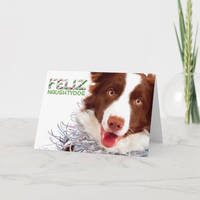 Gräns Collie-julkort Helgkort (Framsida)