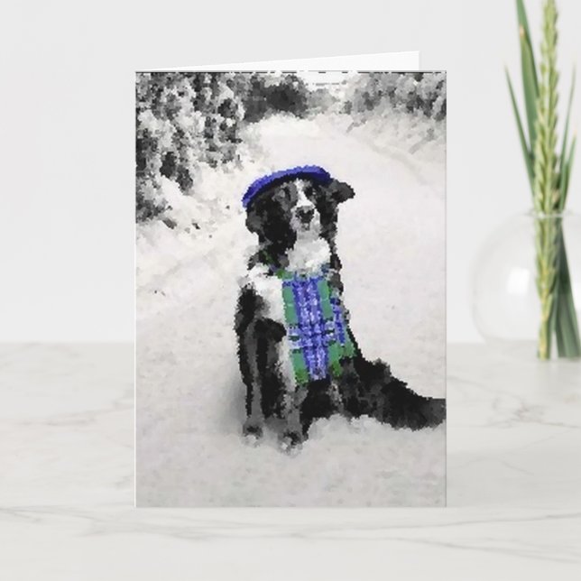 Gräns Collie-julkort Helgkort (Framsida)