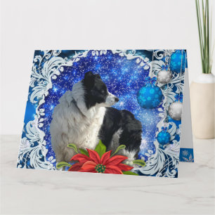 Gräns Collie-julkort Kort