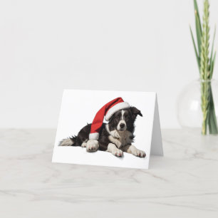 Gräns Collie Julpuppy-julkort Tack Kort