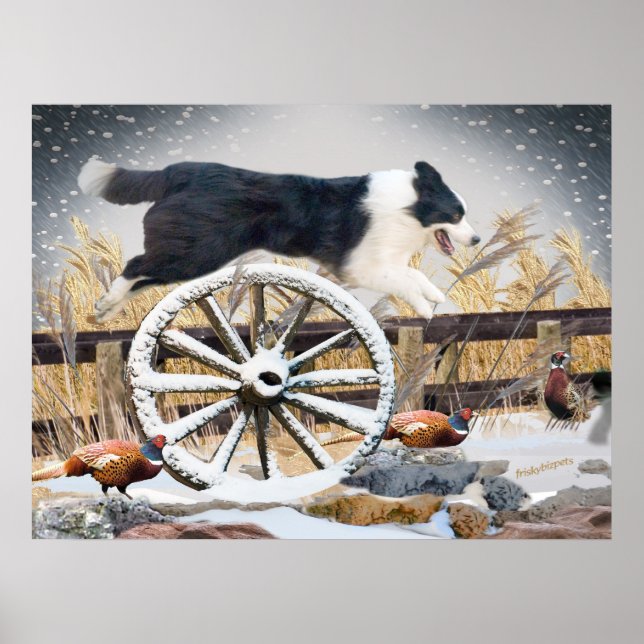 Gräns Collie Jumping wagon Wheel Poster (Framsidan)