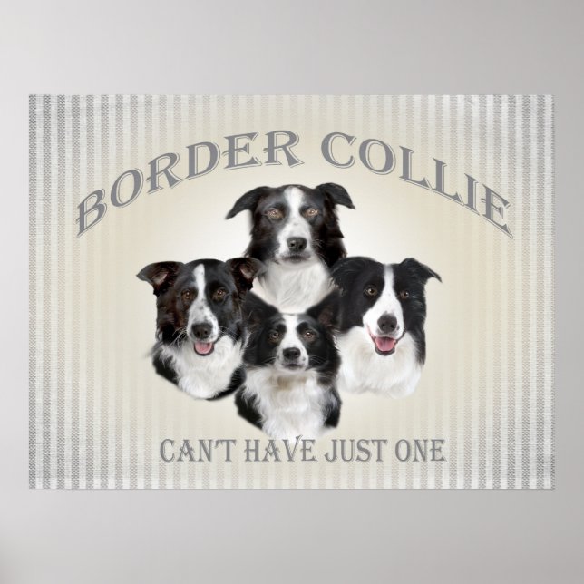 Gräns Collie kan inte bara ha en Poster (Framsidan)