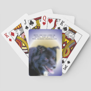 Gräns Collie Kärlek för animalinspiration Casinokort