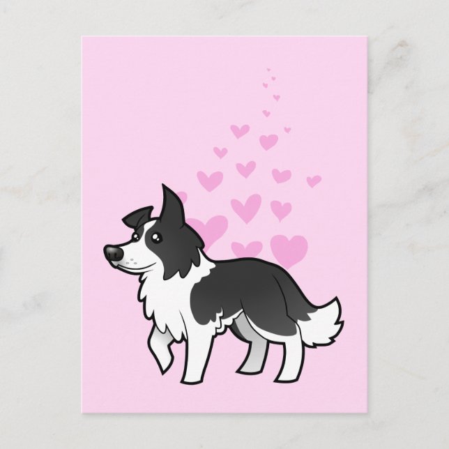 Gräns Collie Kärlek Vykort (Framsida)