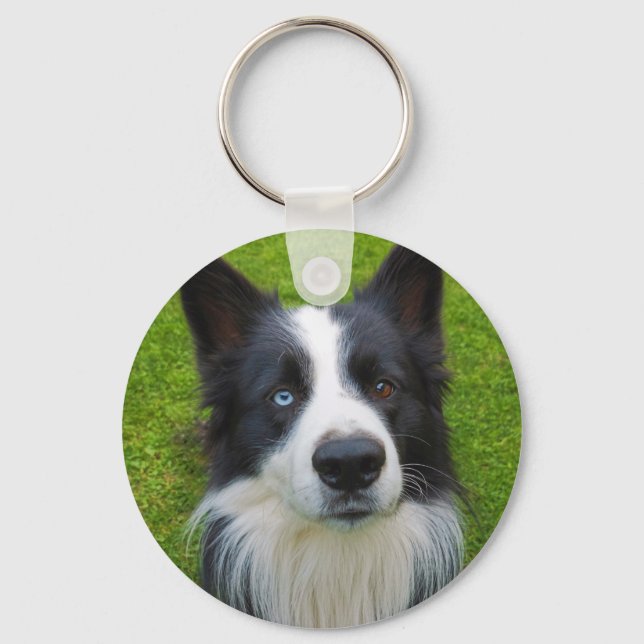 Gräns Collie Keychain Nyckelring (Framsida)