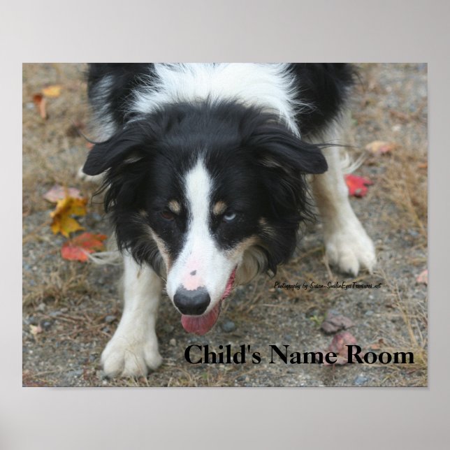 Gräns Collie Kids Room Personlig Wall Poster (Framsidan)