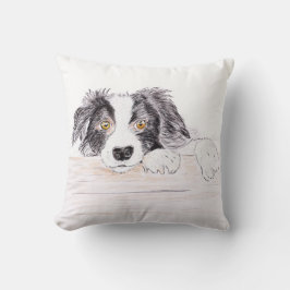 Gräns collie kudde