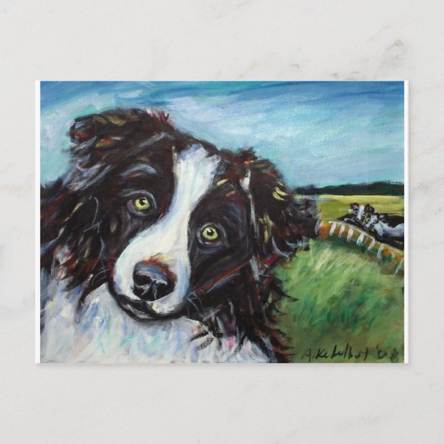 Gräns Collie leende Vykort (Framsida)