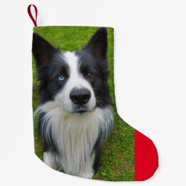 Gräns Collie Liten Julstrumpa