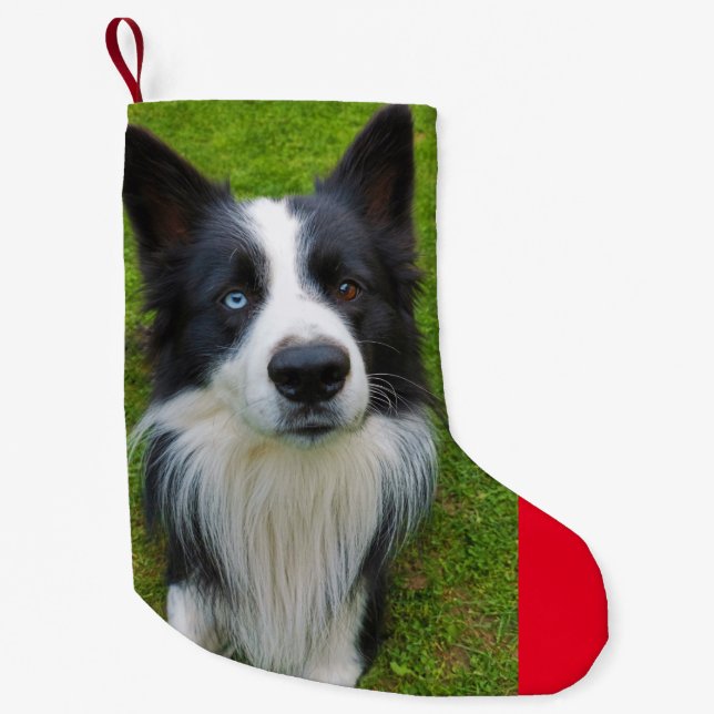 Gräns Collie Liten Julstrumpa (Framsidan)