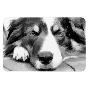 GRÄNS COLLIE MAGNET