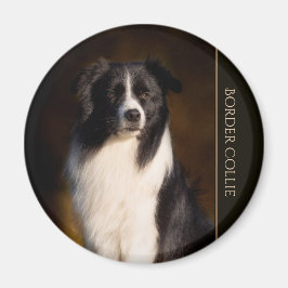 Gräns Collie Magnet