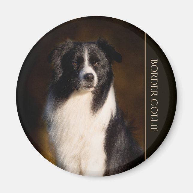 Gräns Collie Magnet (Framsidan)